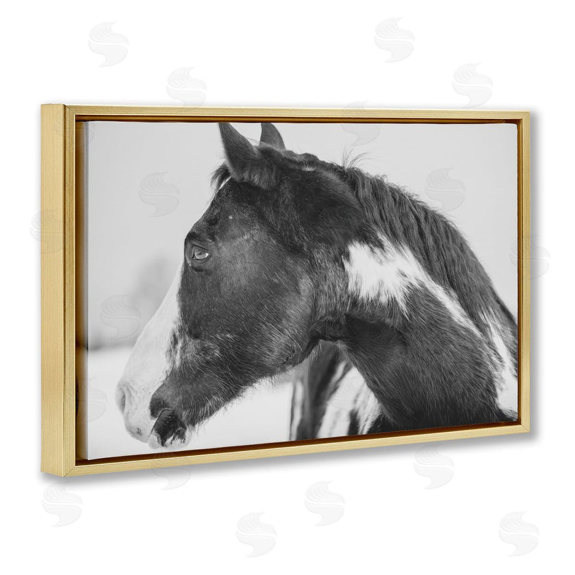Amy Carroll | Draisma Horse Looking Left
