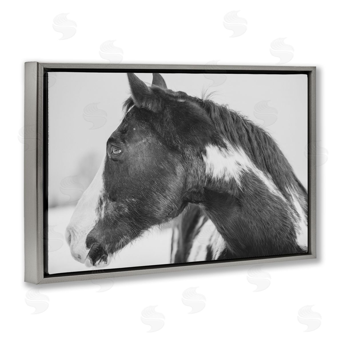 Amy Carroll Draisma Horse Looking Left Canvas Wall Art Print