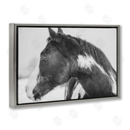 Amy Carroll | Draisma Horse Looking Left