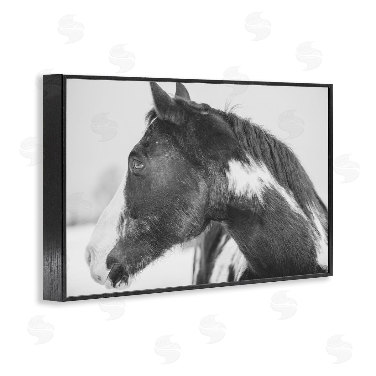 Amy Carroll Draisma Horse Looking Left Canvas Wall Art Print