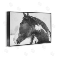 Amy Carroll | Draisma Horse Looking Left