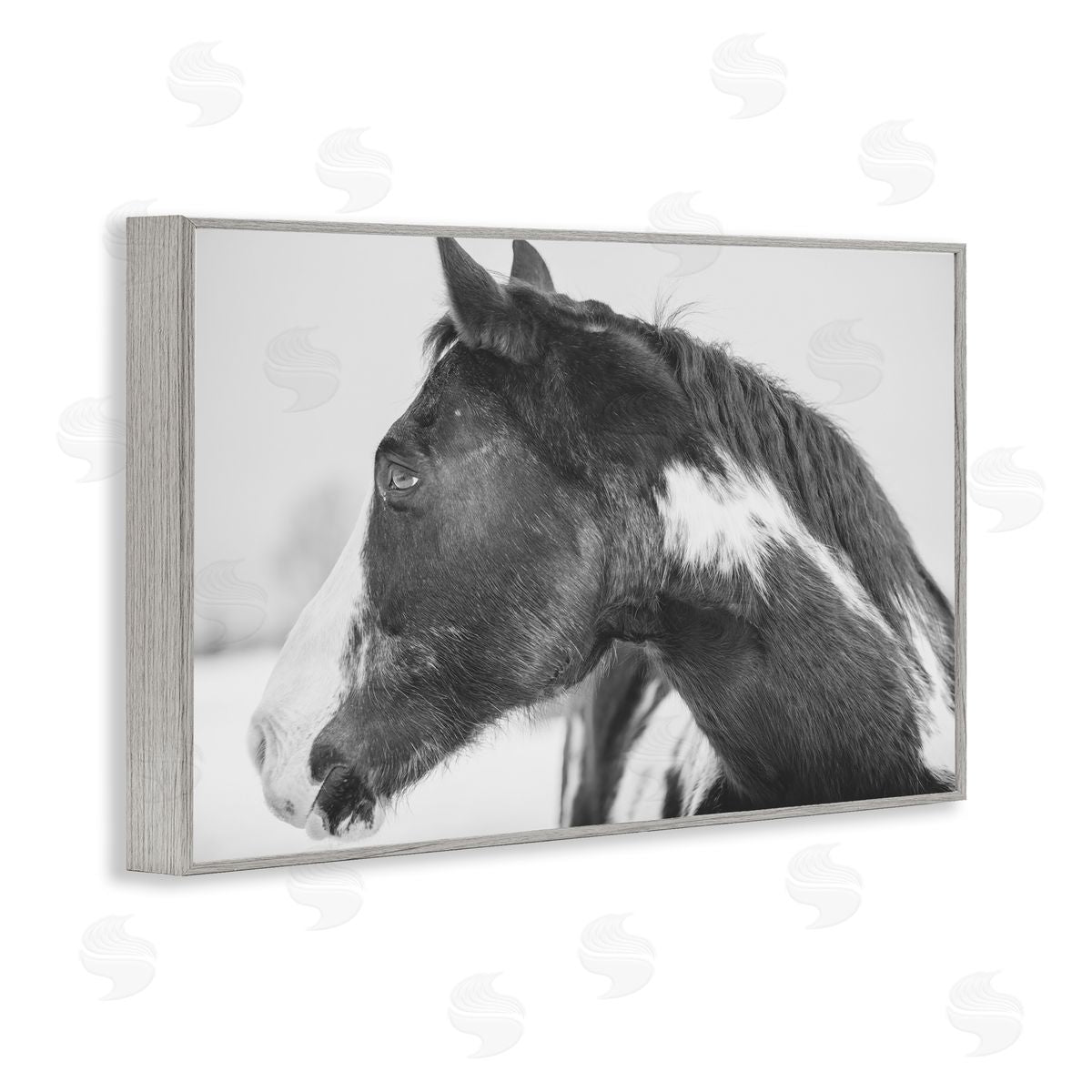 Amy Carroll Draisma Horse Looking Left Canvas Wall Art Print