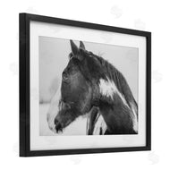 Amy Carroll | Draisma Horse Looking Left