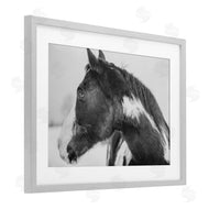 Amy Carroll | Draisma Horse Looking Left