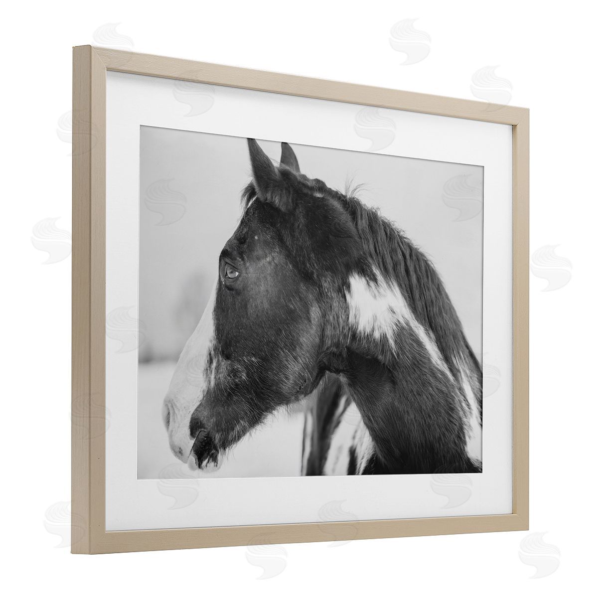 Amy Carroll Draisma Horse Looking Left Canvas Wall Art Print