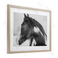 Amy Carroll | Draisma Horse Looking Left