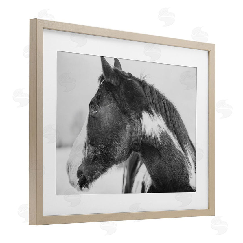 Amy Carroll | Draisma Horse Looking Left