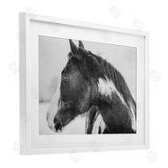 Amy Carroll | Draisma Horse Looking Left