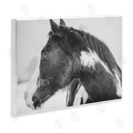 Amy Carroll | Draisma Horse Looking Left