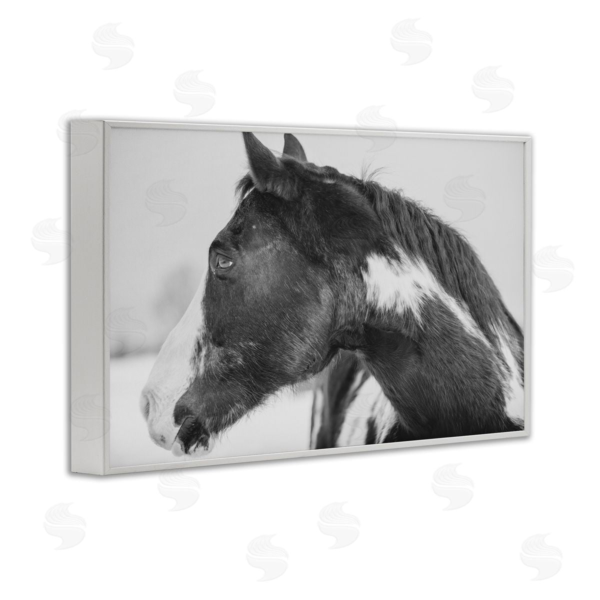Amy Carroll Draisma Horse Looking Left Canvas Wall Art Print