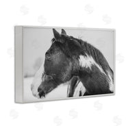 Amy Carroll | Draisma Horse Looking Left