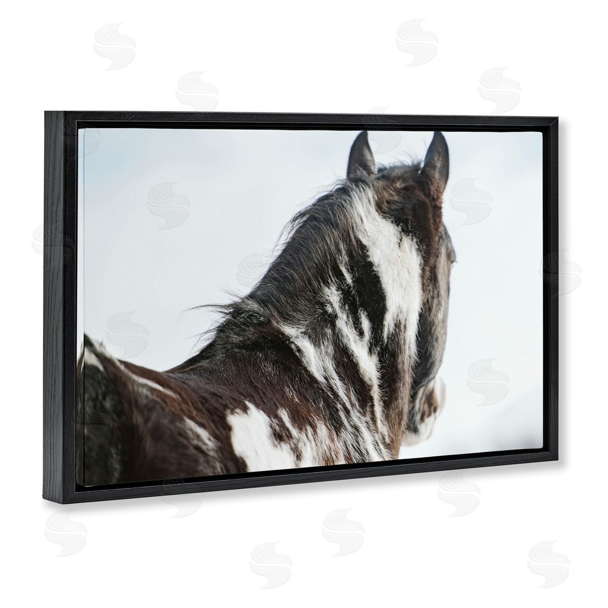 Amy Carroll Winter Herd Horse Portrait Canvas Wall Art Print