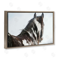 Amy Carroll | Winter Herd Horse Portrait