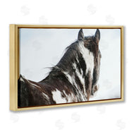 Amy Carroll | Winter Herd Horse Portrait