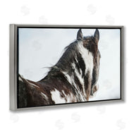 Amy Carroll | Winter Herd Horse Portrait