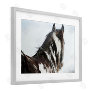 Amy Carroll | Winter Herd Horse Portrait