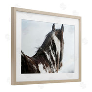 Amy Carroll | Winter Herd Horse Portrait