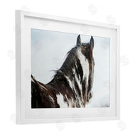 Amy Carroll | Winter Herd Horse Portrait
