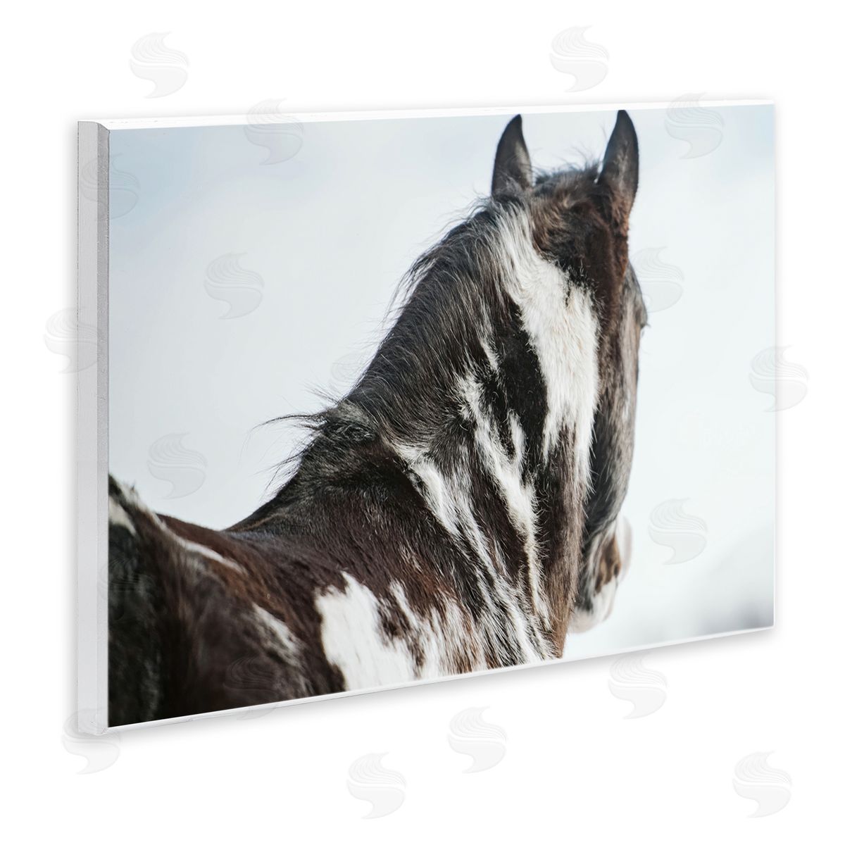 Amy Carroll Winter Herd Horse Portrait Canvas Wall Art Print