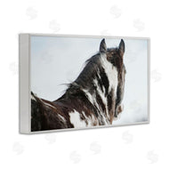 Amy Carroll | Winter Herd Horse Portrait