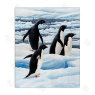 Jeremy Paul | Adelie Penguins on Ice