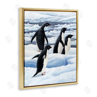 Jeremy Paul | Adelie Penguins on Ice