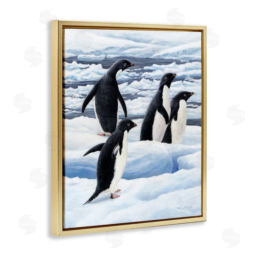 Jeremy Paul | Adelie Penguins on Ice