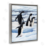 Jeremy Paul | Adelie Penguins on Ice