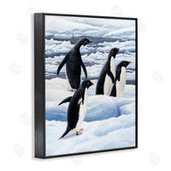 Jeremy Paul | Adelie Penguins on Ice