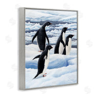 Jeremy Paul | Adelie Penguins on Ice