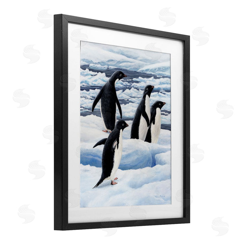Jeremy Paul | Adelie Penguins on Ice
