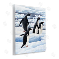 Jeremy Paul | Adelie Penguins on Ice