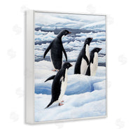 Jeremy Paul | Adelie Penguins on Ice