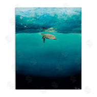 Georgie Harrison | Turtle Beneath Surface