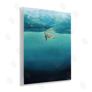 Georgie Harrison | Turtle Beneath Surface