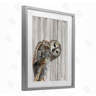 Patti Mann | Peeking Owl's Gaze