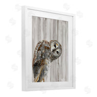 Patti Mann | Peeking Owl's Gaze