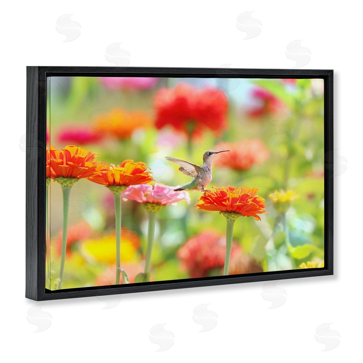 Carrie Ann Grippo-Pike Sugar Fairy Hummingbird Canvas Wall Art Print