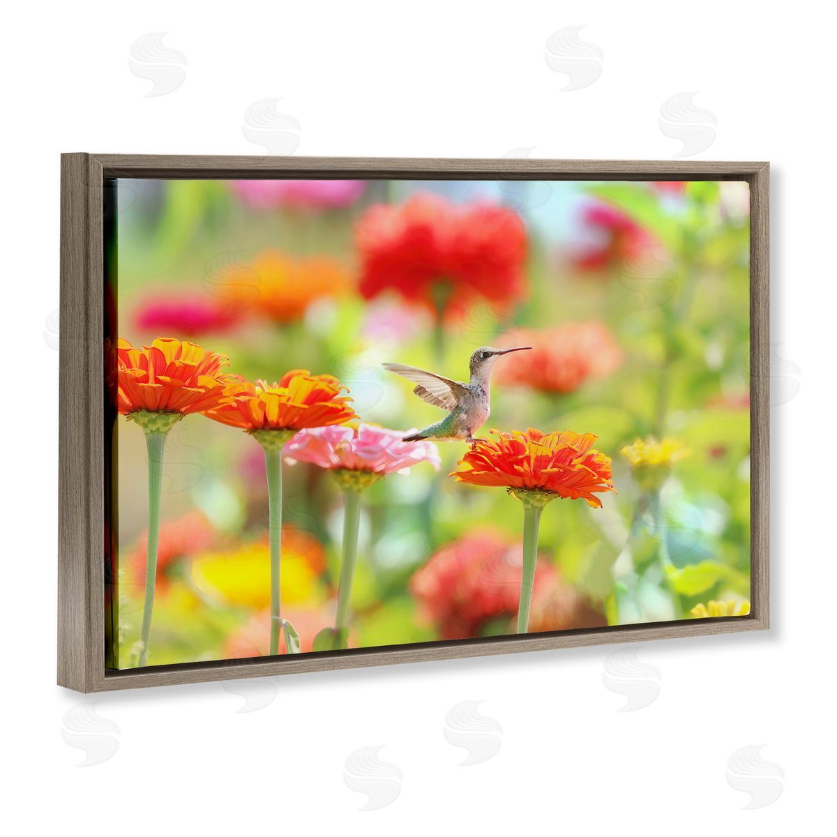 Carrie Ann Grippo-Pike Sugar Fairy Hummingbird Canvas Wall Art Print