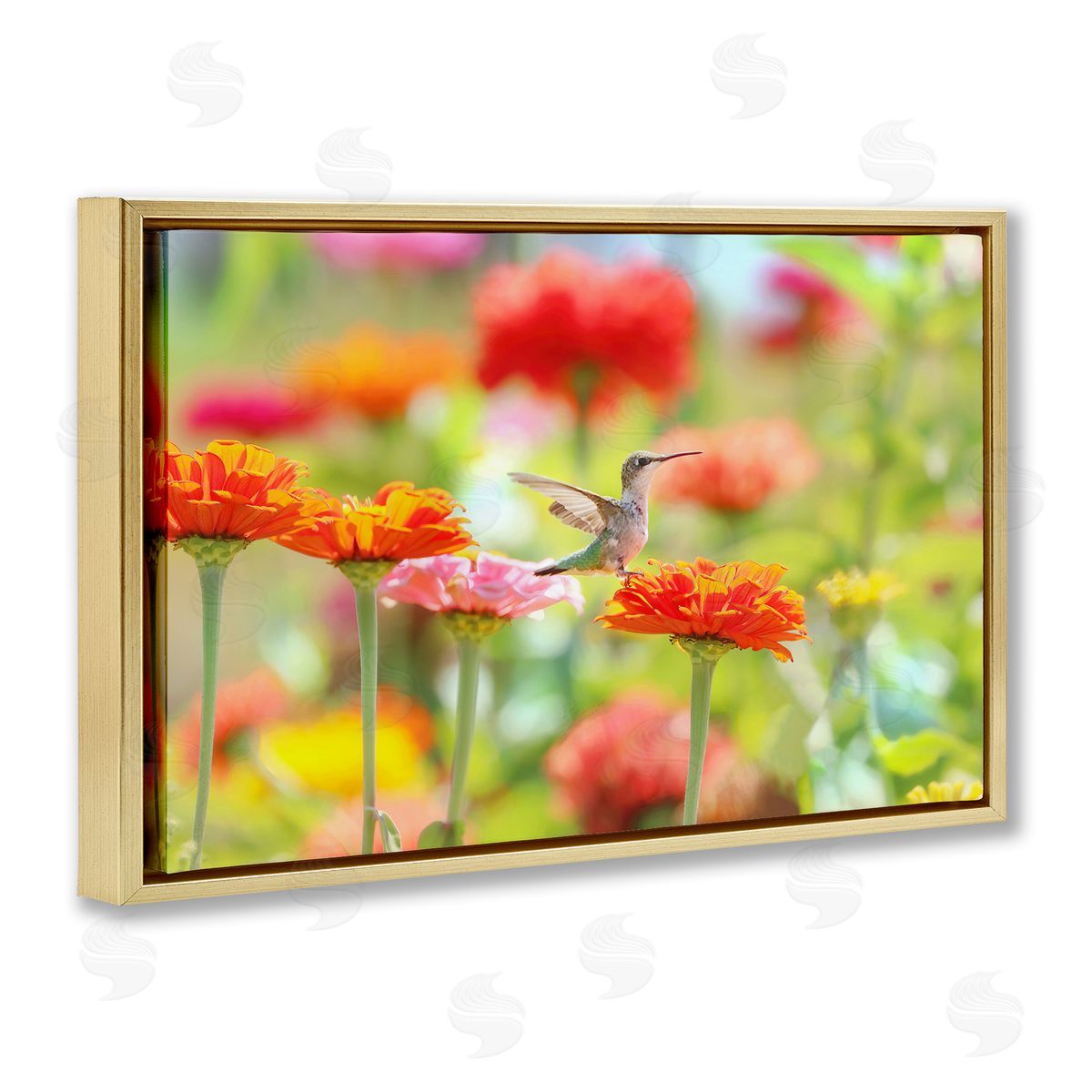 Carrie Ann Grippo-Pike Sugar Fairy Hummingbird Canvas Wall Art Print