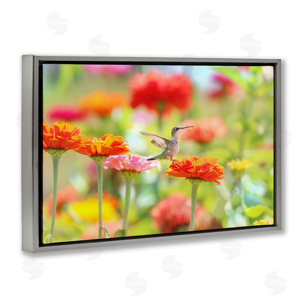 Carrie Ann Grippo-Pike Sugar Fairy Hummingbird Canvas Wall Art Print