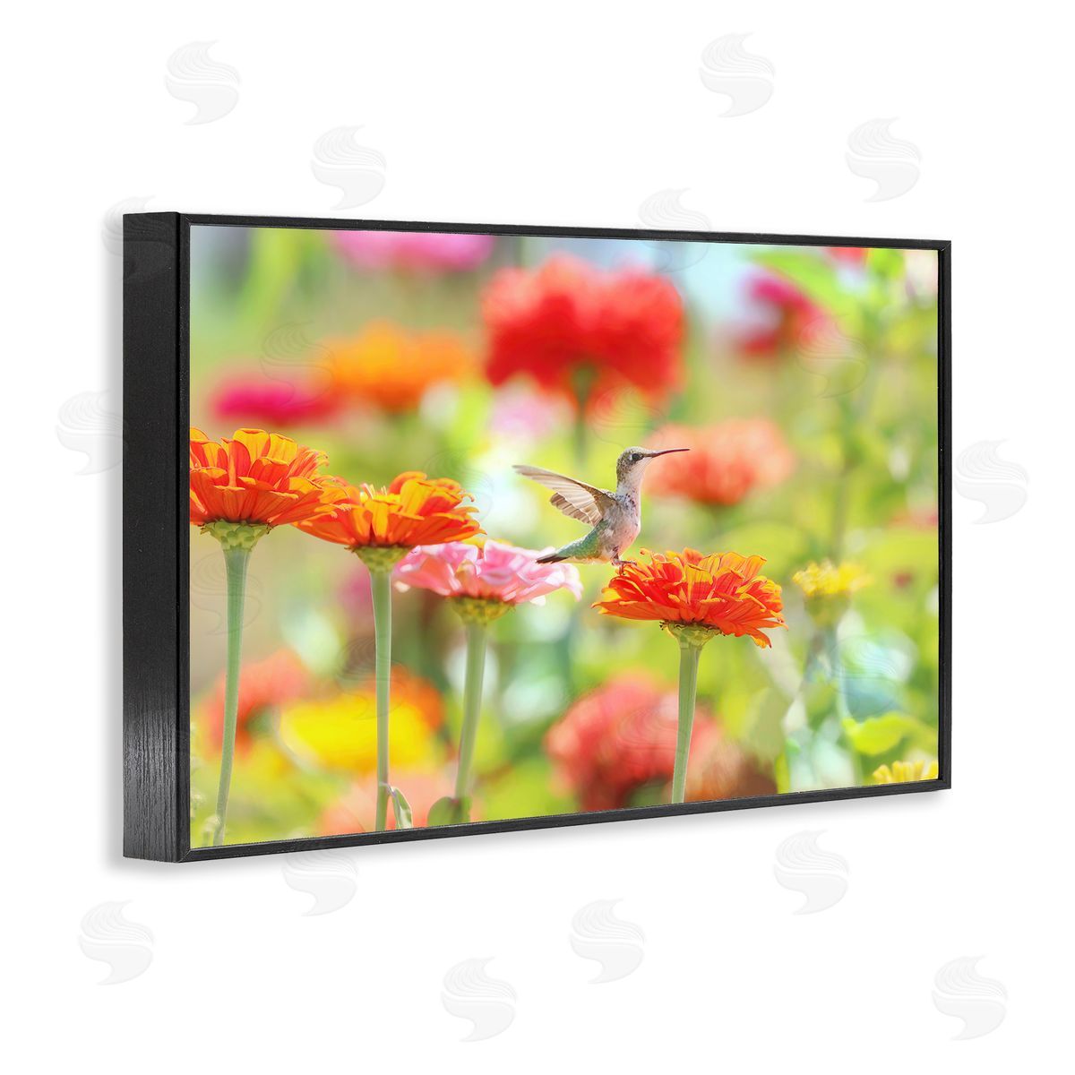 Carrie Ann Grippo-Pike Sugar Fairy Hummingbird Canvas Wall Art Print
