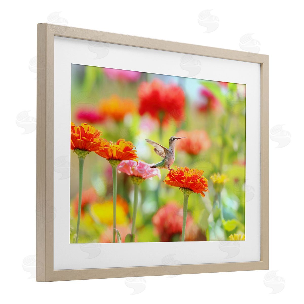 Carrie Ann Grippo-Pike Sugar Fairy Hummingbird Canvas Wall Art Print