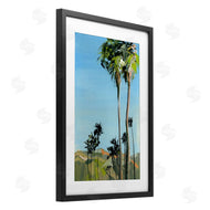 Brook Page | Scenic Tall LA Palms