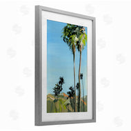 Brook Page | Scenic Tall LA Palms