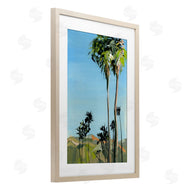 Brook Page | Scenic Tall LA Palms