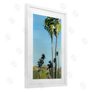 Brook Page | Scenic Tall LA Palms