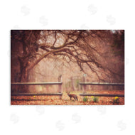 Carrie Ann Grippo-Pike | Sly Guy Fox in Forest
