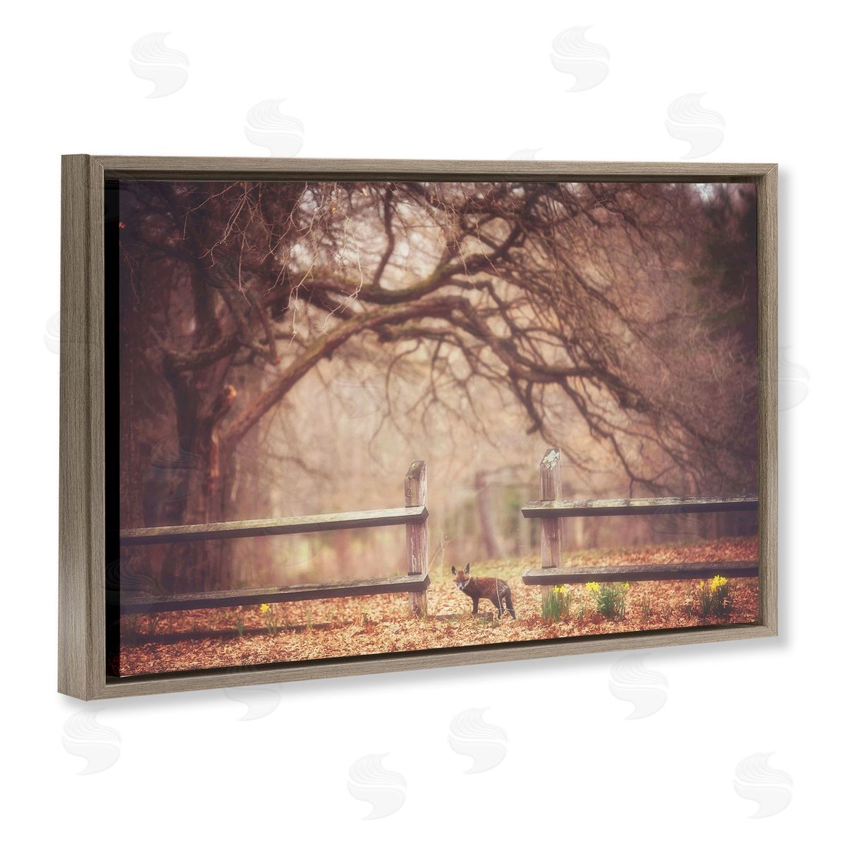 Carrie Ann Grippo-Pike Sly Guy Fox in Forest Canvas Wall Art Print