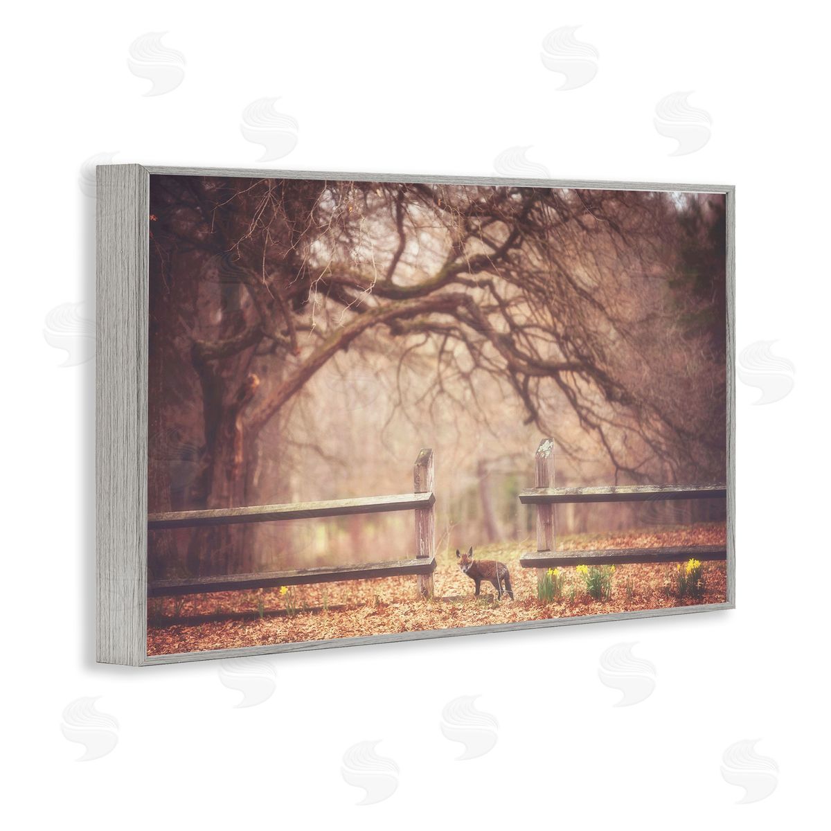Carrie Ann Grippo-Pike Sly Guy Fox in Forest Canvas Wall Art Print